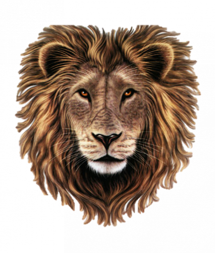 lion head dark artwork